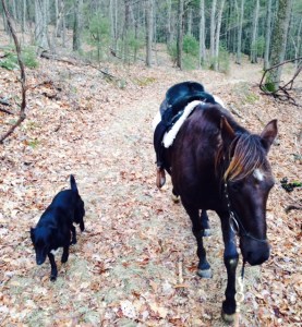 Khaleesi on the way to the arena with Peggy Sue following along