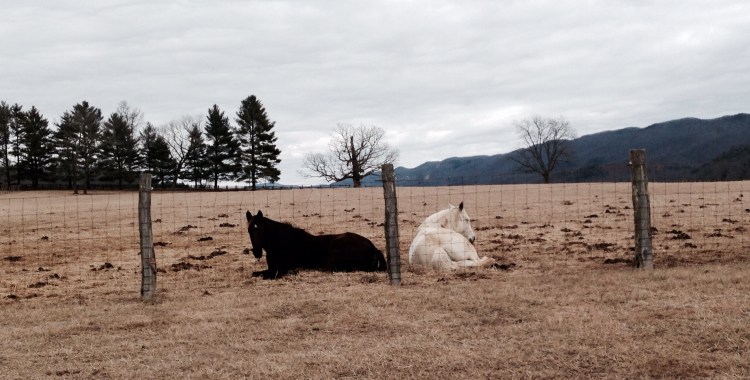 Girls in mid-afternoon nap mode