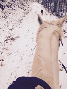 Heading up the power line road