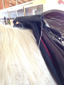 Close up of the pad at the pommel, you can see it is slightly raised and is also thicker with more support than my usual pad.