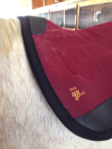 Phoenix Rising "4-beat" pad