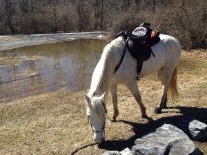 We took 10 minutes to graze and have a drink at Poor Farm before heading up the mountain toward home.