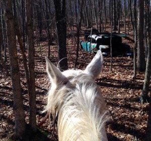 Old Car along the trail in the woods