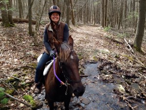 Khaleesi dealing well with lots of water on the trail.