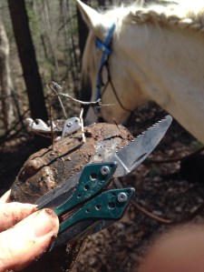 Saw tool cuts through the wire