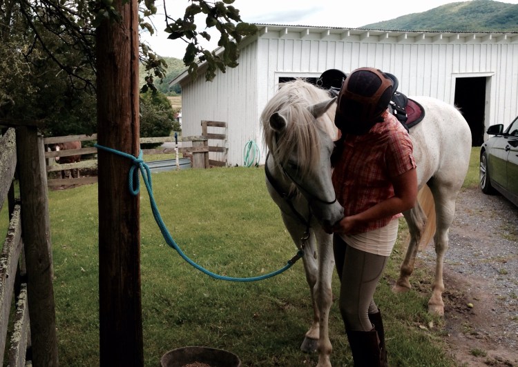 My first love... my soul mate mare...