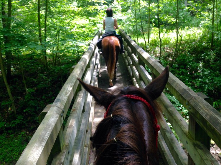 Crossing a narrow bridge