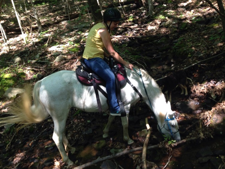 Faygo... aka "the camel" actually drinking!