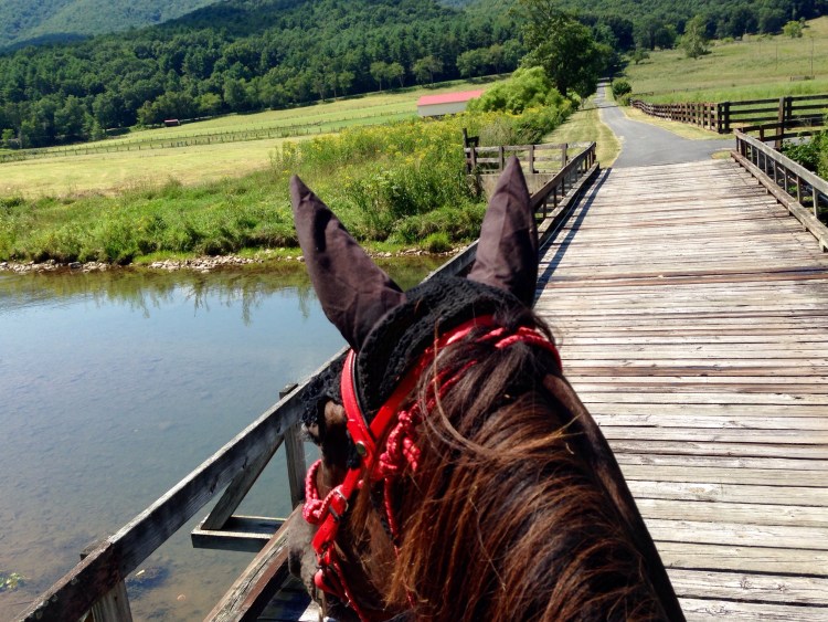 Crossing the wooden bridge is no problem now!