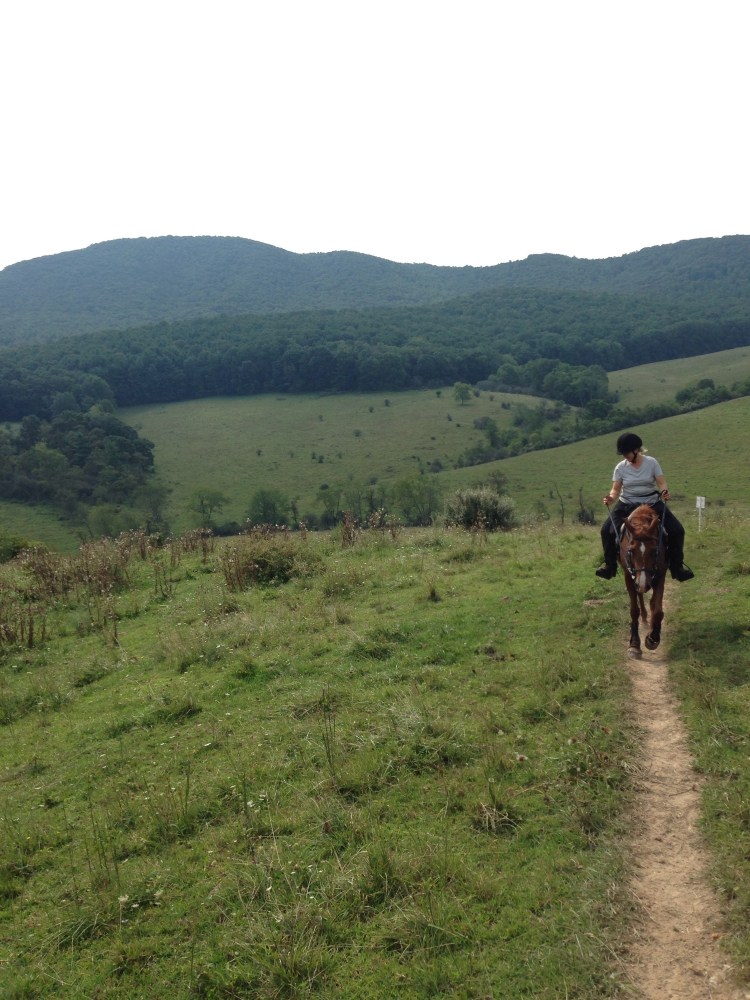 Betsy and Zephyr in the rangelands