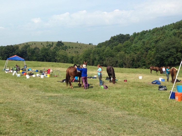 crew bags for the no crew folks!