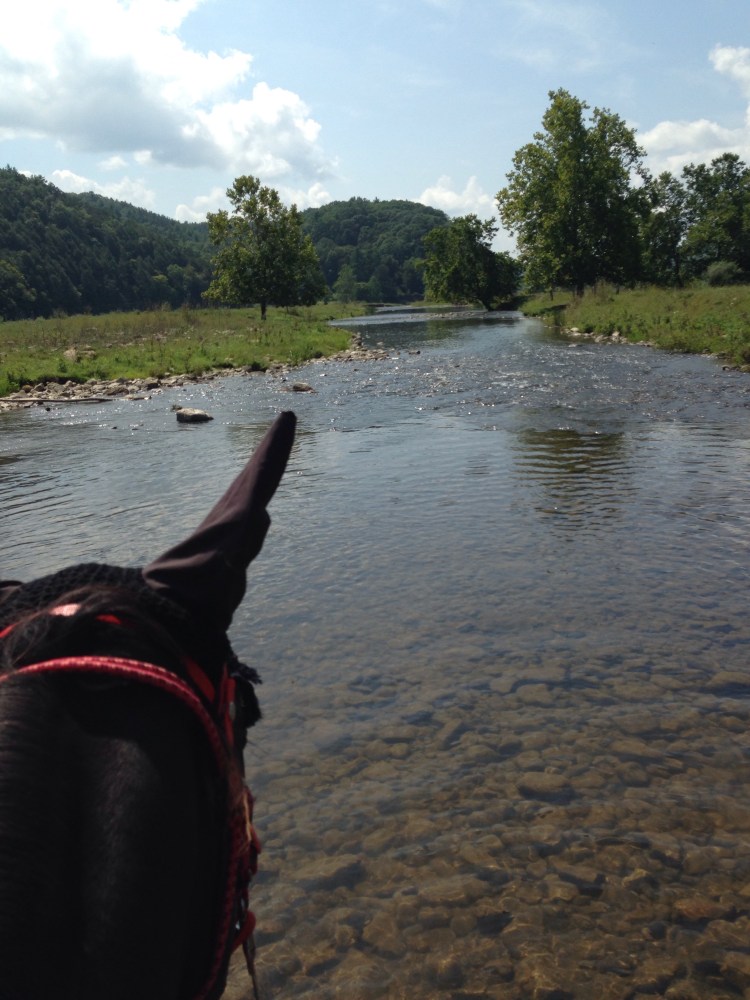 Pretty shot of the Jackson from Sunday... couldn't help adding it in!