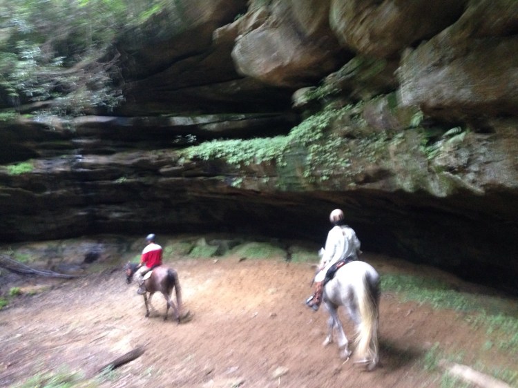 Example of rock formations we rode past- blurry because we were moving!