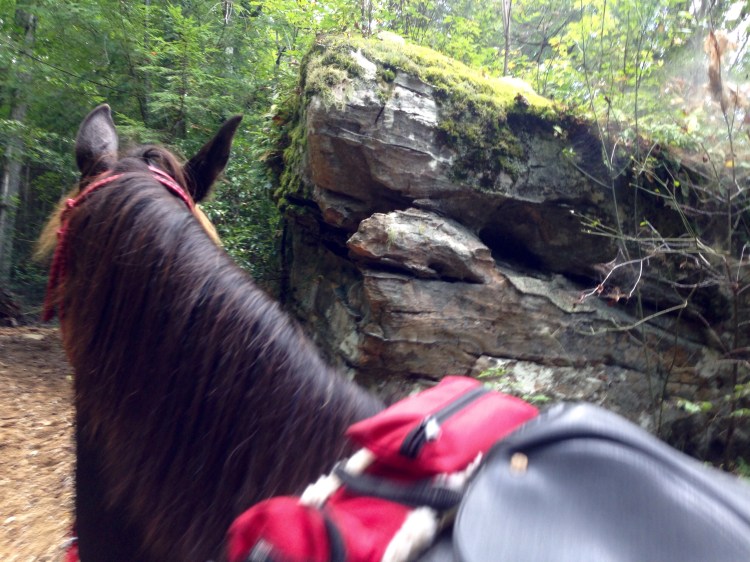 loved all the neat rock formations along the trail