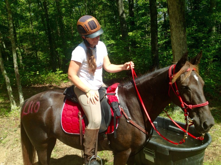 at one of the water troughs- she drank a lot on the second loop