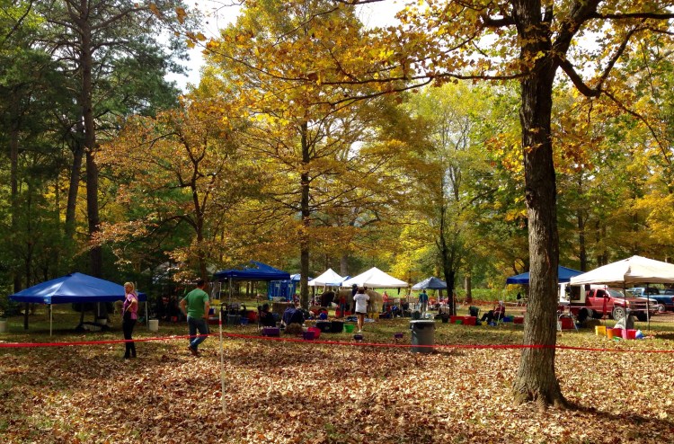 Bird Haven in the Fall