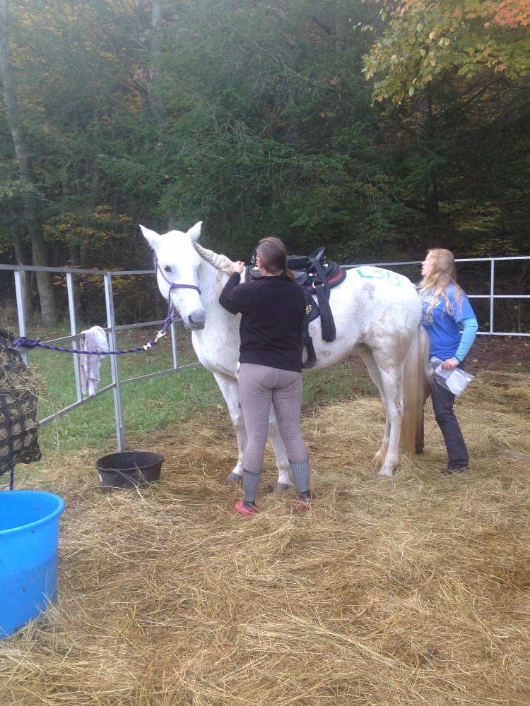 putting the heart rate monitor on together