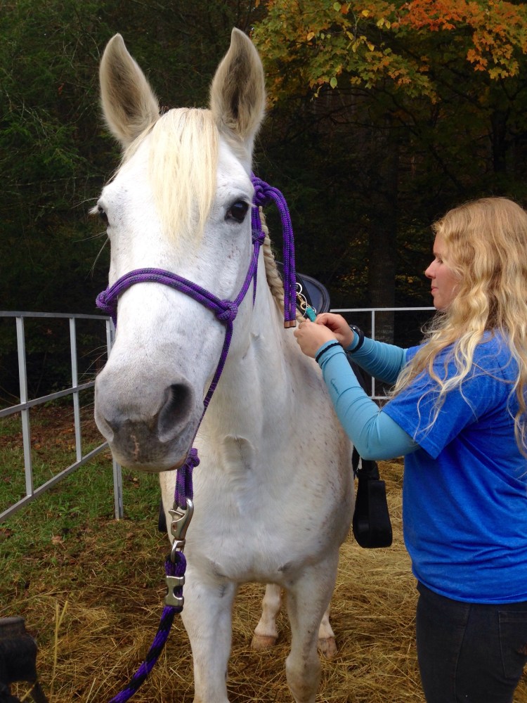 Madison braids Faygo's thick mane to keep it off her neck.
