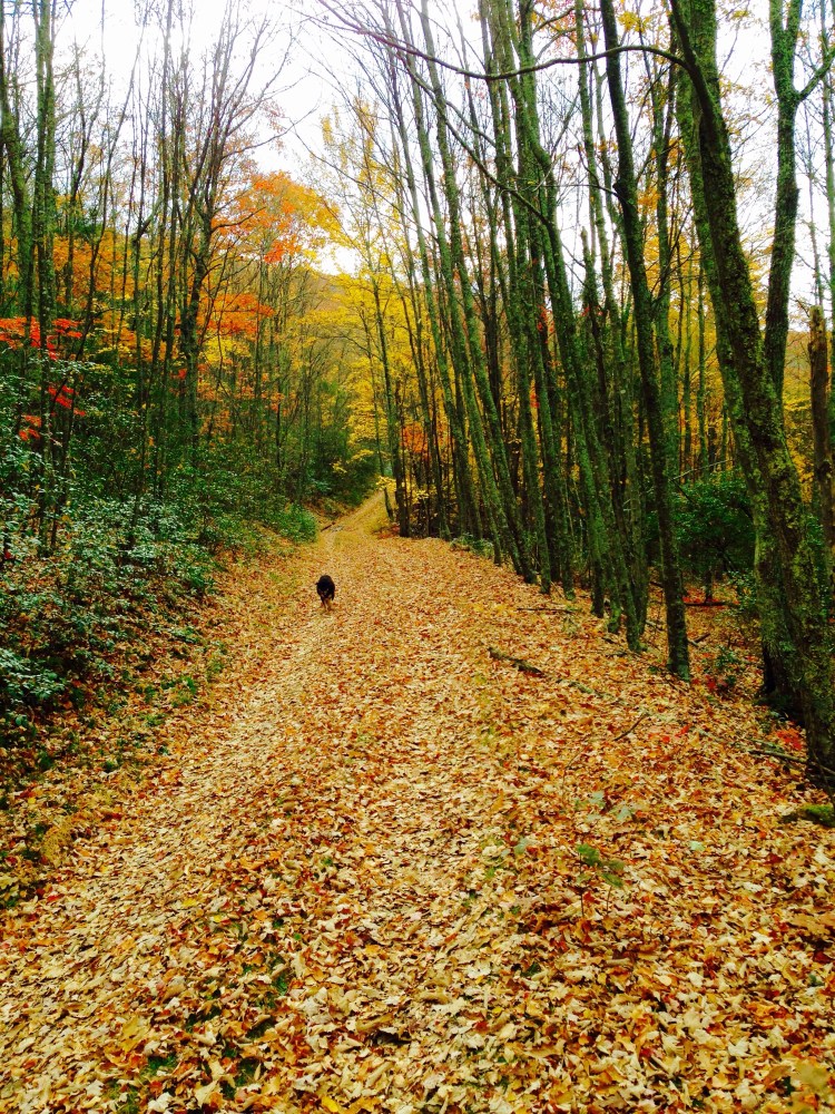 Beautiful ridge road on top of the mountain