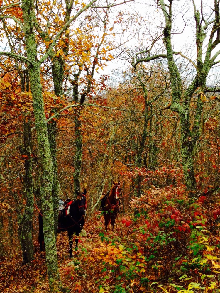 Horses tied as we climbed the last few feet up some rock stairs to the overlook gazebo.