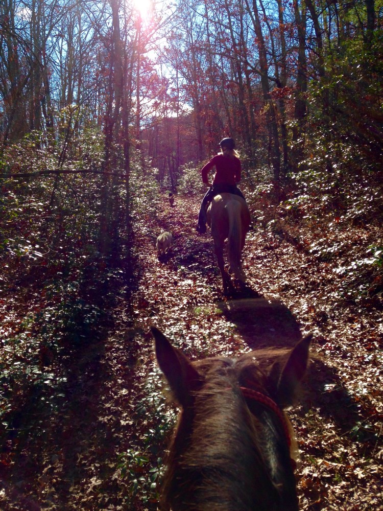 Levi leads the way home as we lag in the rear.